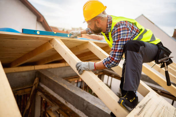 Best Gutter Installation and Roofing  in Newport, SC