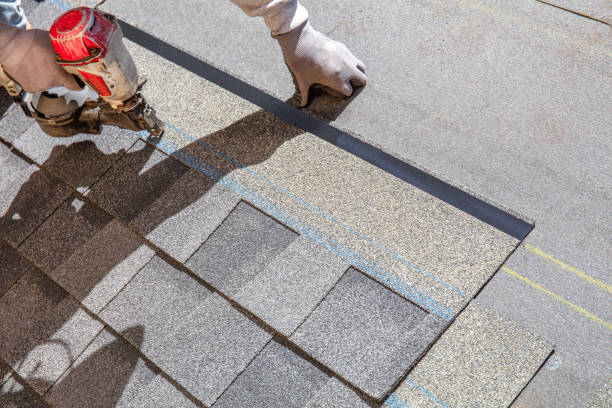 Professional Roofing Contractor in Newport, SC